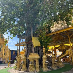 รูปภาพที่ 8