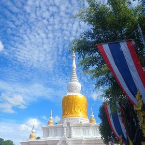 รูปภาพที่ 8