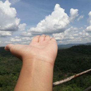 รูปภาพที่ 7