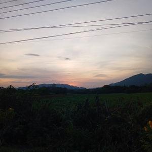 รูปภาพที่ 6