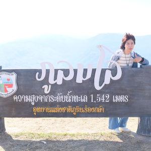 รูปภาพที่ 8