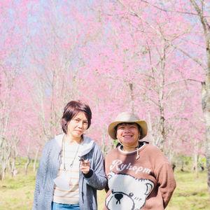 รูปภาพที่ 5