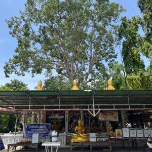 รูปภาพที่ 3