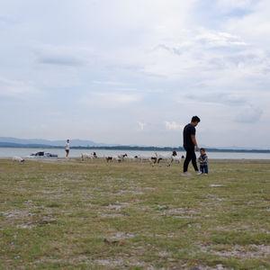 编号2