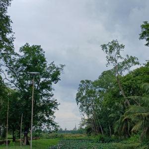 No. 1
