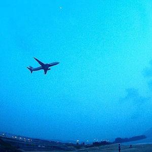 รูปภาพที่ 8