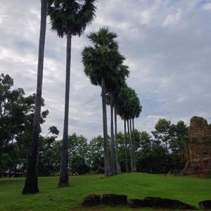รูปภาพที่ 5