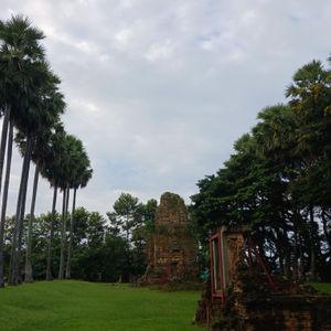 รูปภาพที่ 1