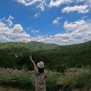 编号1