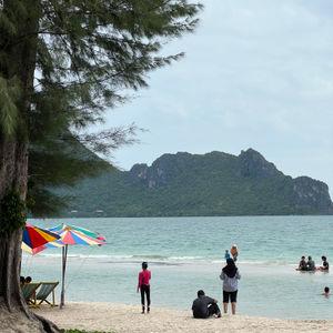 รูปภาพที่ 8