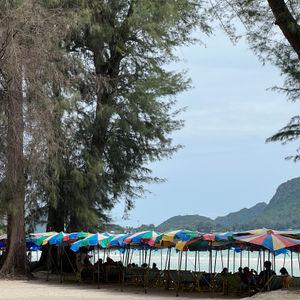 รูปภาพที่ 7