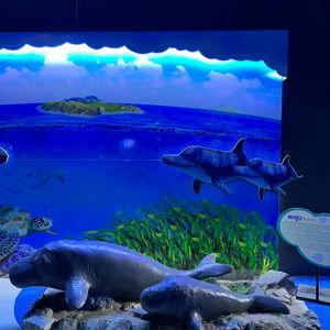 รูปภาพที่ 7