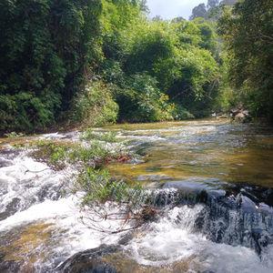 รูปภาพที่ 8