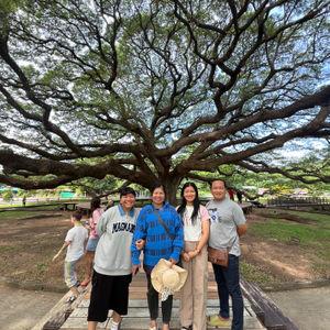 รูปภาพที่ 8
