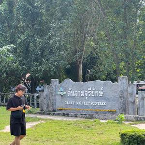 รูปภาพที่ 6
