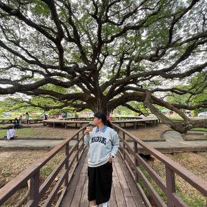 รูปภาพที่ 5