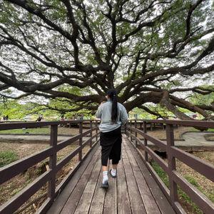 รูปภาพที่ 4