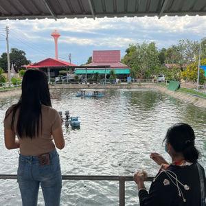 รูปภาพที่ 6
