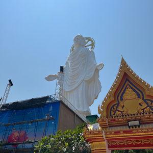 编号7