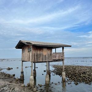 รูปภาพที่ 7