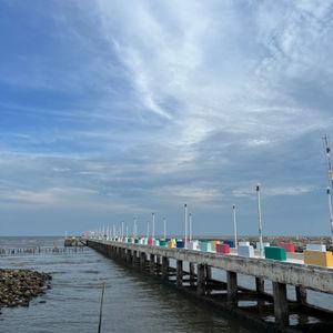 รูปภาพที่ 2