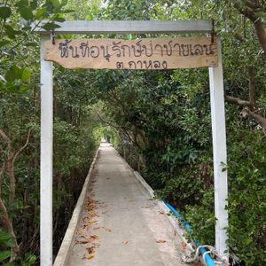 รูปภาพที่ 9