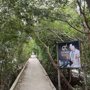 รูปภาพที่ 8