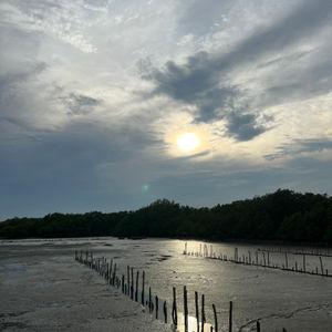 รูปภาพที่ 6