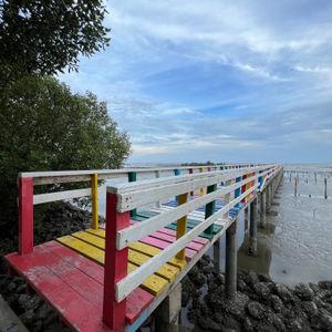 รูปภาพที่ 2
