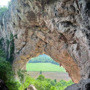 รูปภาพที่ 3