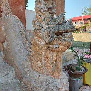 รูปภาพที่ 7