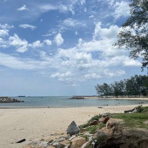 รูปภาพที่ 5