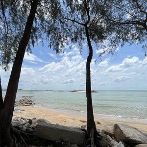 รูปภาพที่ 3