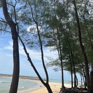 รูปภาพที่ 2