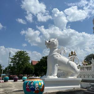 รูปภาพที่ 9