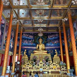 รูปภาพที่ 8