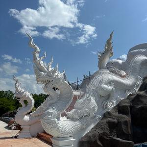 รูปภาพที่ 1