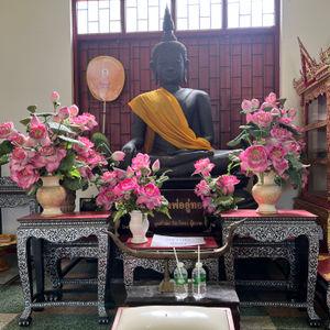 รูปภาพที่ 8