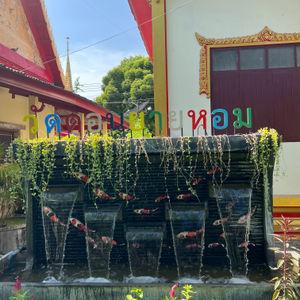 รูปภาพที่ 6