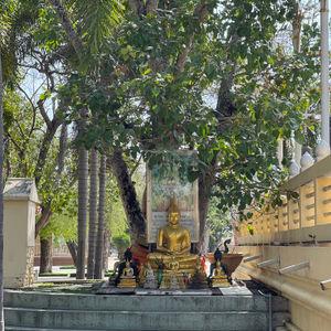 รูปภาพที่ 4