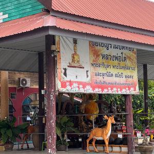 รูปภาพที่ 1