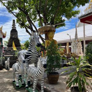 รูปภาพที่ 4