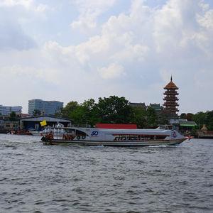รูปภาพที่ 8