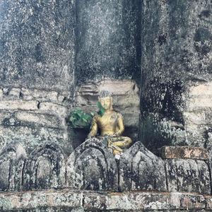 รูปภาพที่ 8