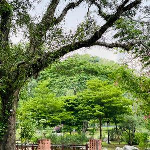 รูปภาพที่ 1
