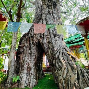 รูปภาพที่ 3