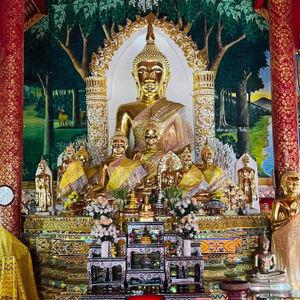 รูปภาพที่ 8