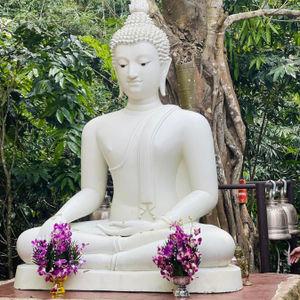 รูปภาพที่ 7
