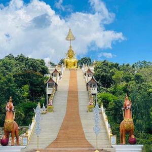 รูปภาพที่ 8