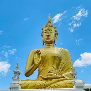 รูปภาพที่ 5